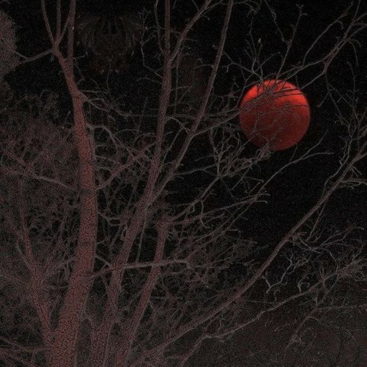 acid666host's tweet photo. blood moon https://t.co/2tB3ksFCCP