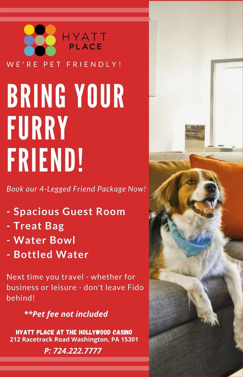 HyattPlacePS's tweet photo. Bring your best friend with you on your next visit! 🐶 https://t.co/vlfugFAAog