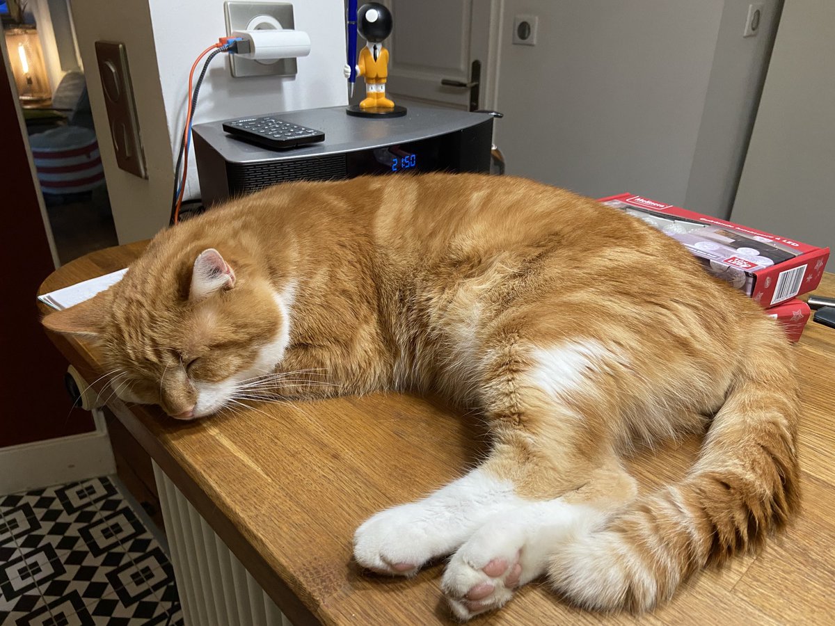 JFduHP's tweet photo. Transat Jacques Vabre : chat bar dur !
#sergedemontmidi https://t.co/n9PnidQjCG