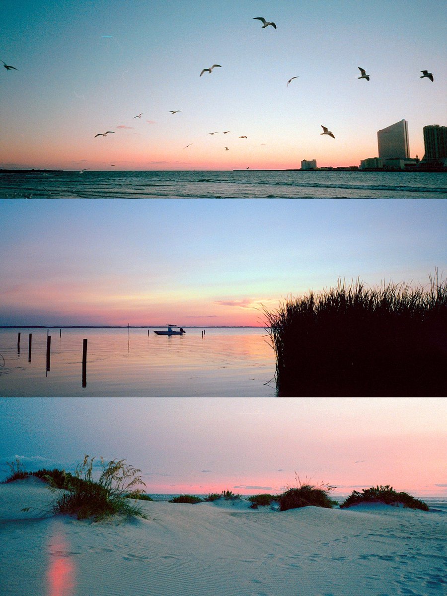 the coast on cinestill 800t