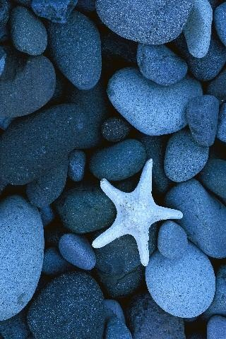 미순꿈 (@dreammisoon) on Twitter photo 