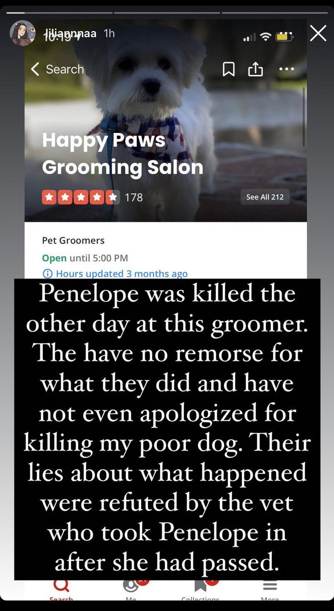 friduhhh's tweet image. My friend’s dog was killed at this groomer’s and there has been an extreme lack of empathy. I ask that you all share this information or keep it in mind. 

Here is the link to their yelp: yelp.to/afhFaAlvqlb