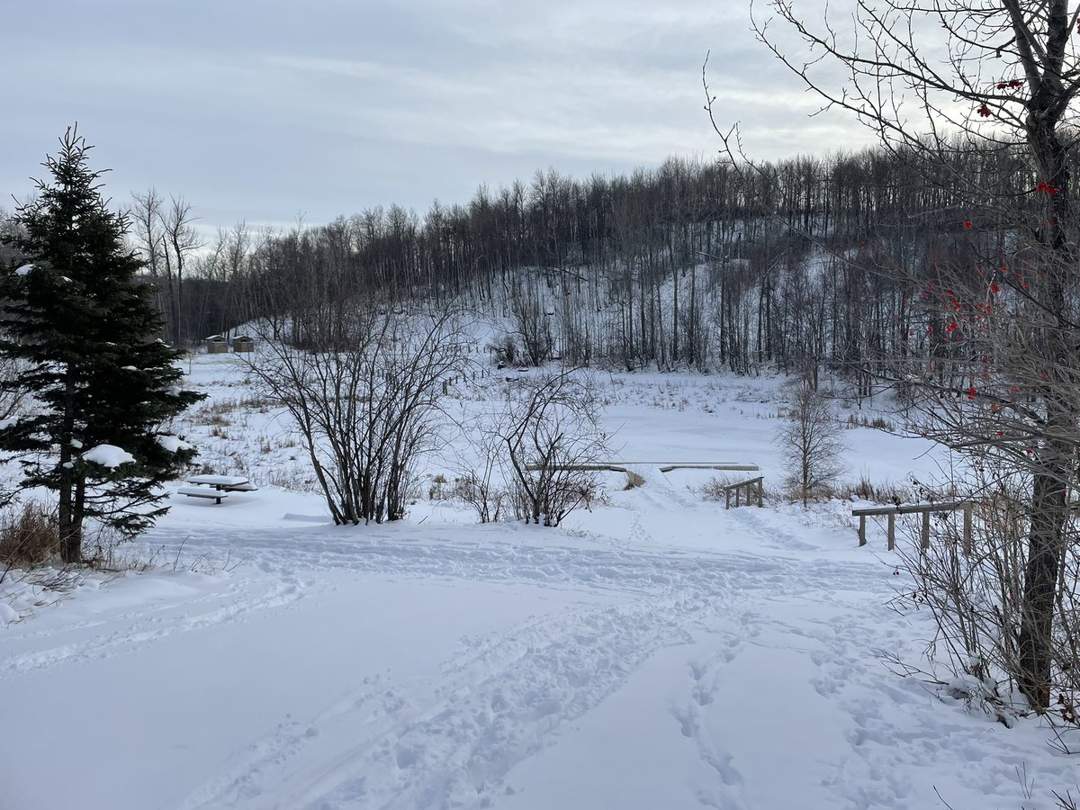 EtiennaLafferty's tweet photo. Decolonizing PD with my great friends and lead teachers of @EvergreenCSSD Visiting Mother Earth, made friends with some trees, building land connections. Just another tough day of unlearning. #foundationalknowledge #decolonize #landconnections #abteachers https://t.co/YL2Df1VSQ0