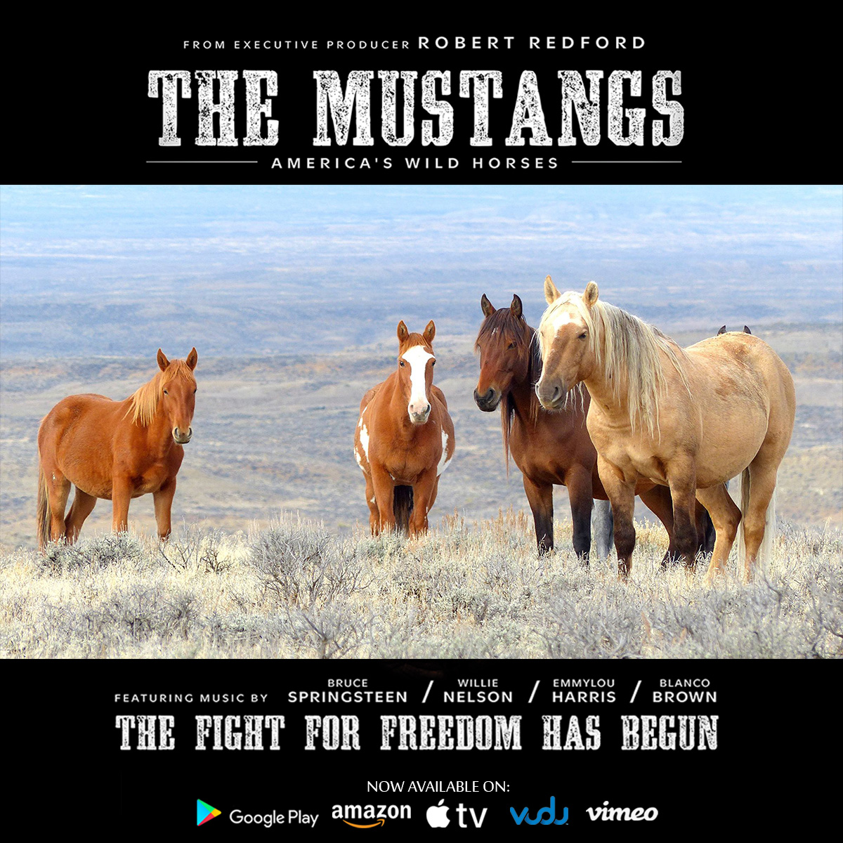 TheMustangsFilm's tweet photo. "The Mustangs: America's Wild Horses" is now available on VOD:  https://t.co/ceJBqlcQaC
@PrimeVideo 
https://t.co/geayug0Syu
@AppleTV 
https://t.co/dRaBwCBP2C
@VuduFans 
https://t.co/xLhxltgqj8
@GooglePlay
https://t.co/olRlVC9Qm8
@Vimeo
https://t.co/nNiHnMXphE
#WildHorses #Horses https://t.co/SjQI9KtLKE
