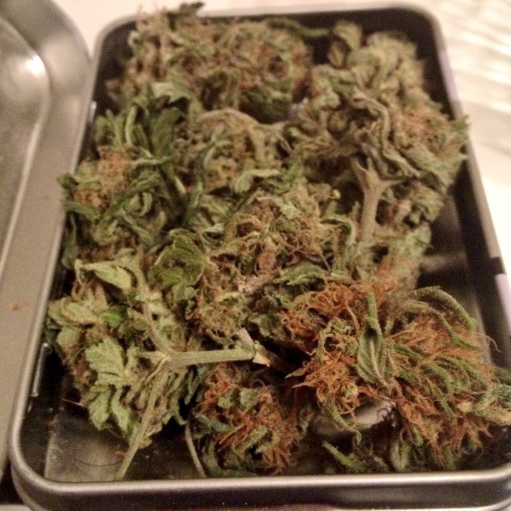 BuscandoMaria's tweet photo. To the moon🚀 #TeamWeed #Mmemberville #SpiniNelFianco https://t.co/HexWUzvsnD