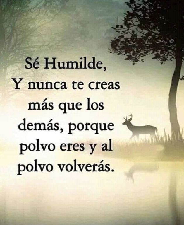 Petra Castillo (@petracas1) on Twitter photo 