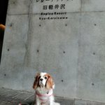 ツイートに含まれる画像