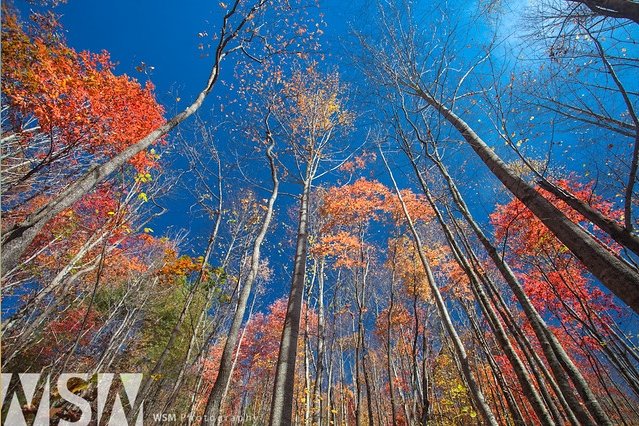 wizum's tweet image. I had to make some adjustments, but my mobile version of my #printstore is fixed and I'm receiving orders.

Check out the store at:
Wizumprints.com 

#photography #landscapephotography #NaturePhotography #photographylovers