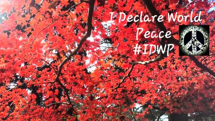 CherishTheEarth's tweet photo. I Declare
World Peace #IDWP
#IAmChoosingLove
#JoyTrain
#Namaste
#SovereignPeace
#ClimateAction
#Unity
World Peace
Is Possible
#WPIP
#IChooseLove
Cherish The Earth https://t.co/DPVTDoGD3Y