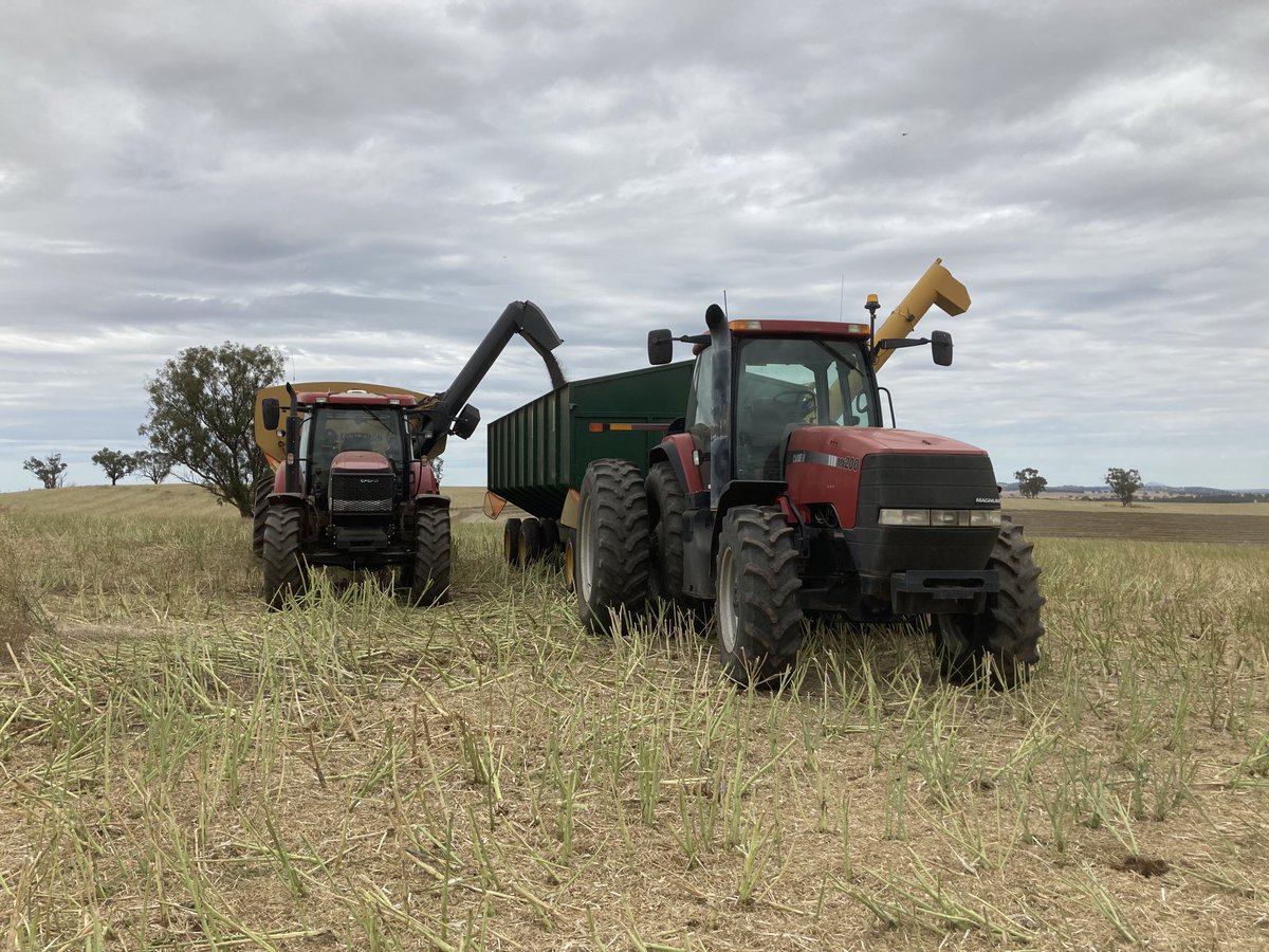 Deb Charlton tweet media