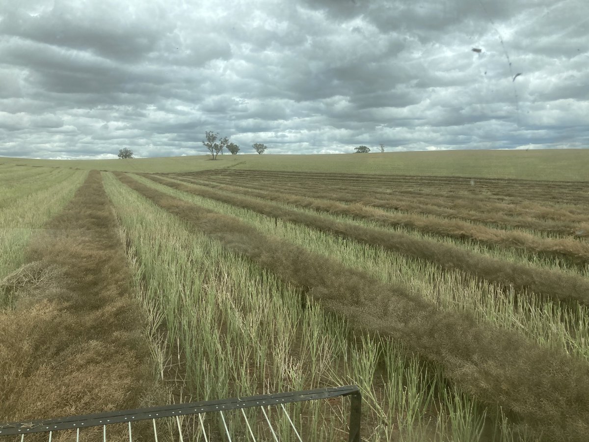 Deb Charlton tweet media