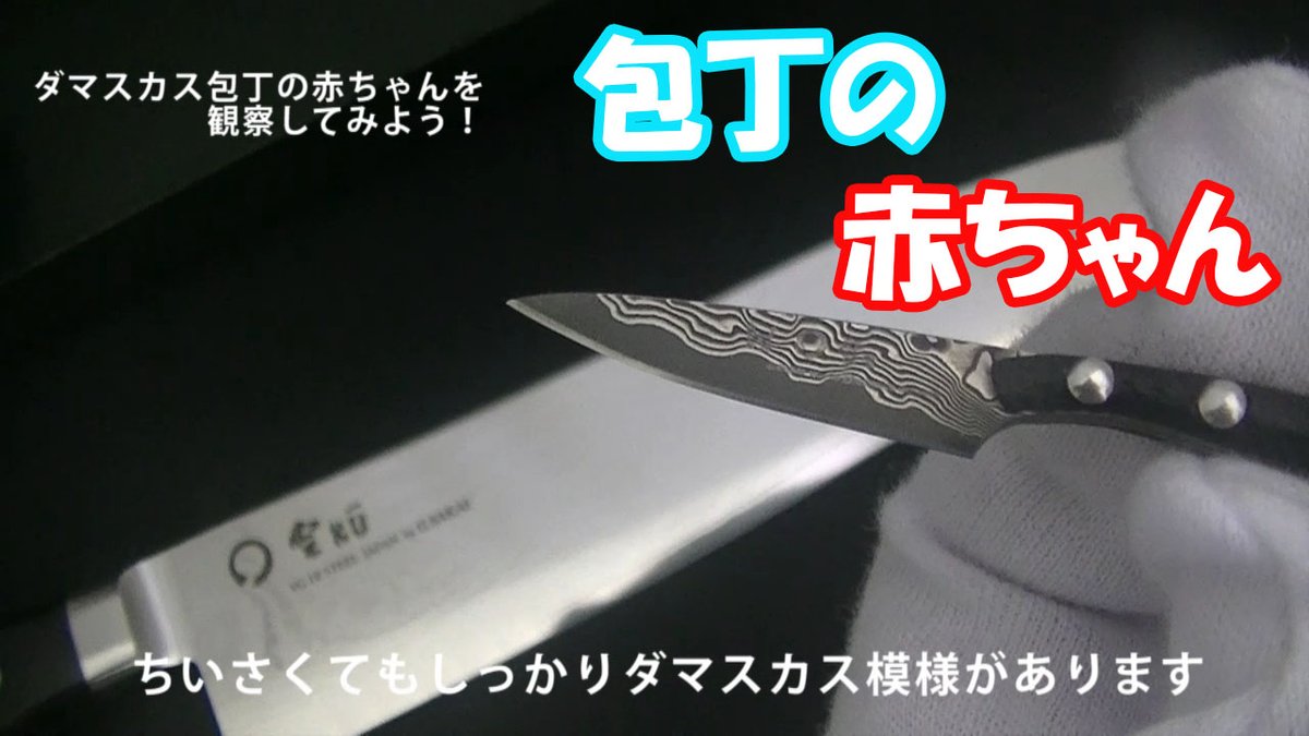 ジー・サカイ🐈🐾🔪ネコの包丁発売中🐱【公式】 (@G_SAKAI) / Twitter