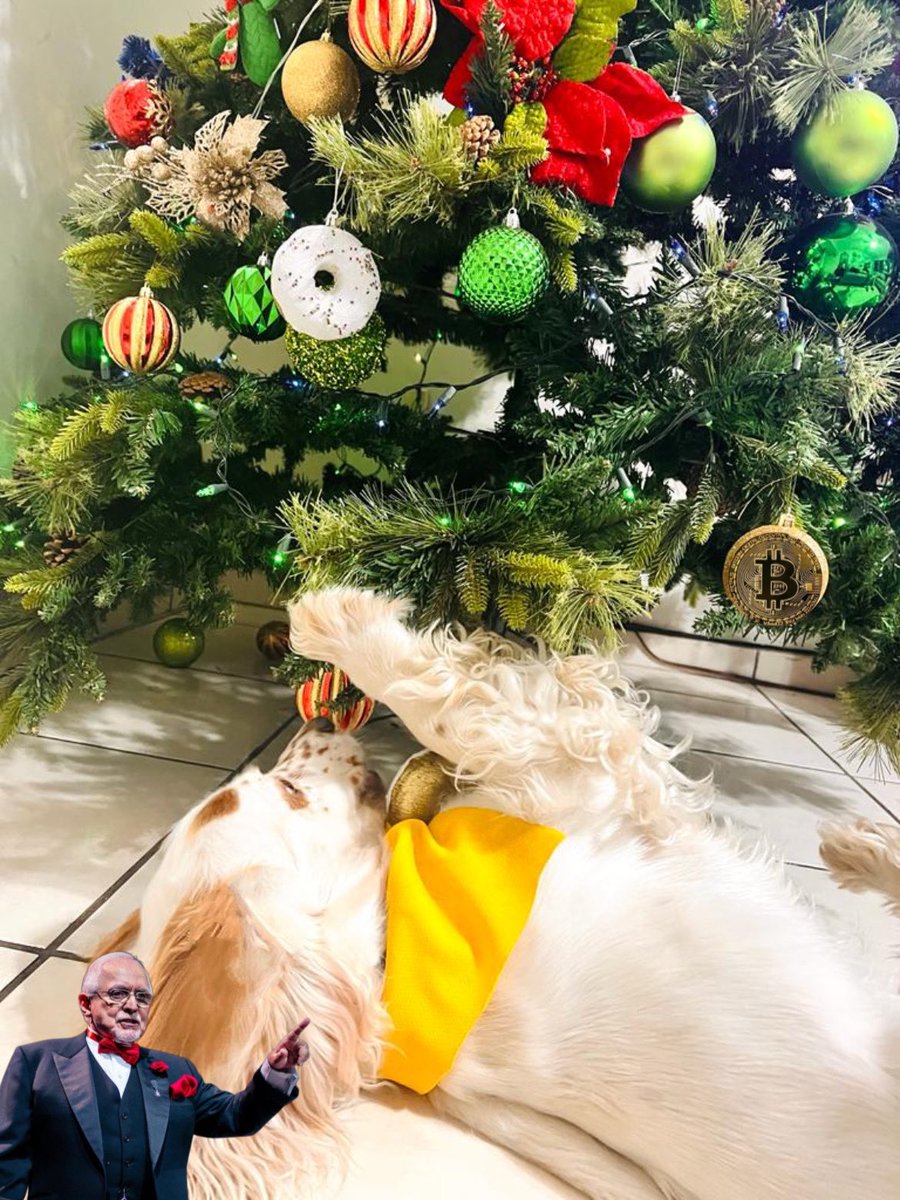 Ajá, ahora ya se porque el arbolito pierde los adornos. 😅