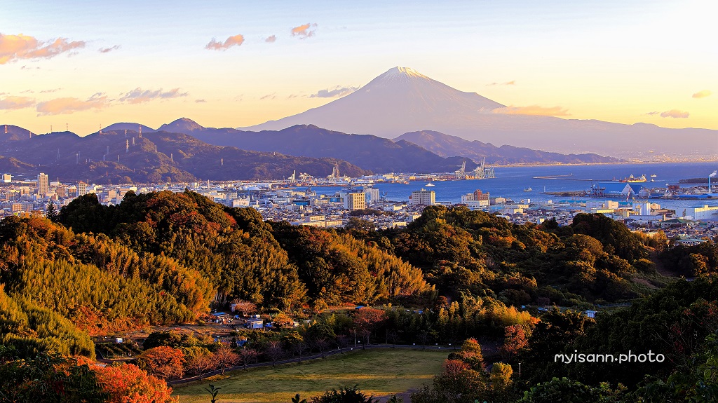 竹林に朝陽 11月に入り綺麗な富士山が見える季節となりました 2021/11/24 am