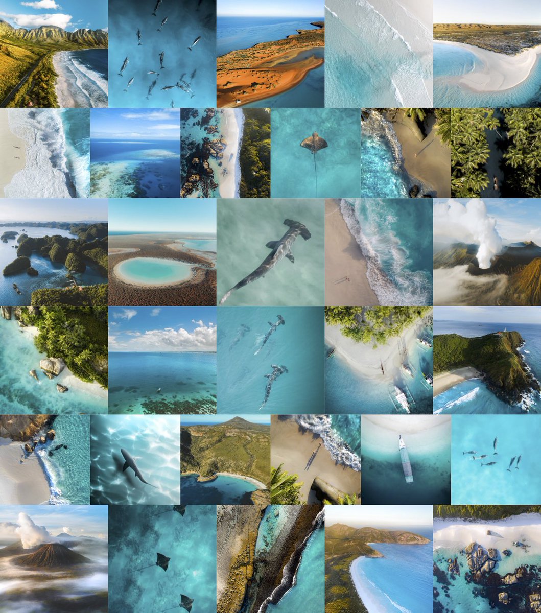 Sandrine Hecq tweet media