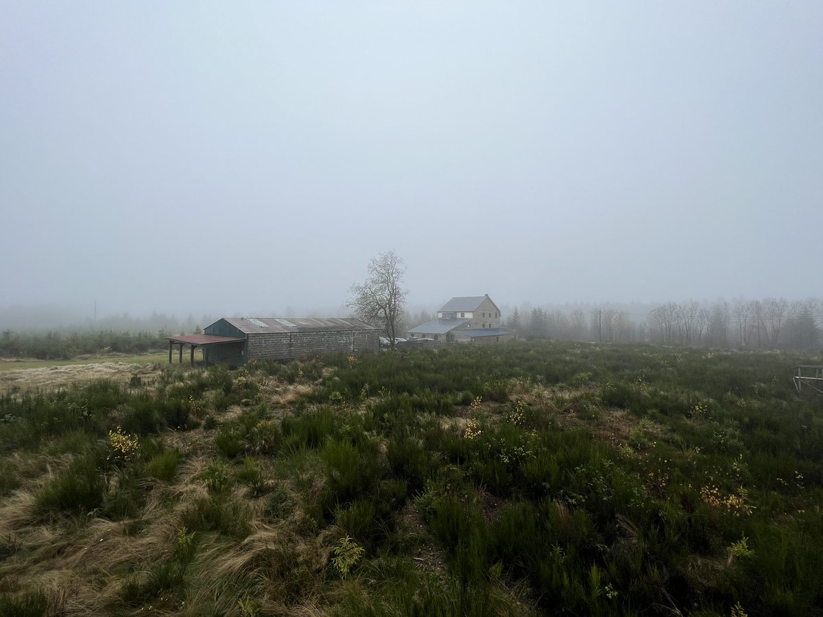 I like how these turned out 🌲🌳

Shot with <a href="/halidecamera/">Halide + Kino aka halideapp.bsky.social</a> edited with <a href="/usedarkroom/">Darkroom</a>