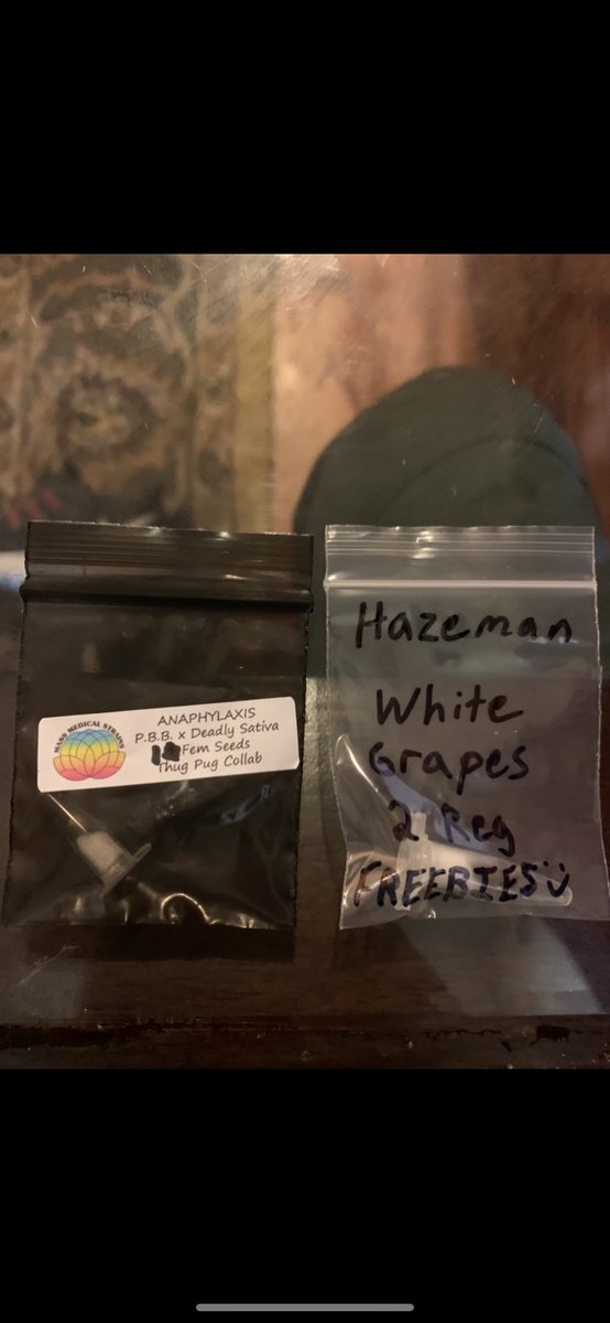 GroveGrower's tweet photo. Huge s/o to @homebakedjay. I’m a very happy BEAN dropper today. Holla @ him if in need of high quality seeds.      #Growyourown  #TheSensei #BeautifulBeanFootage https://t.co/I2sBxMegMp