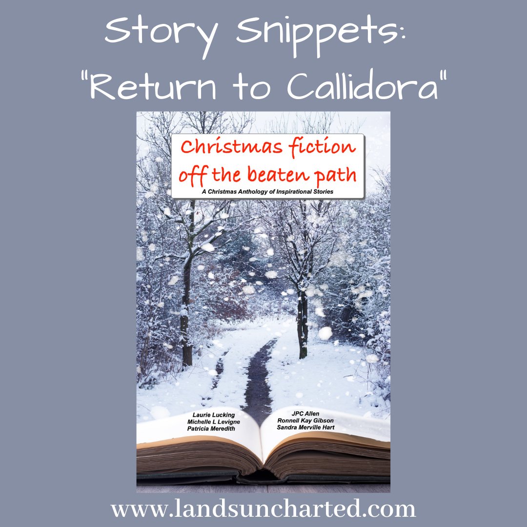 With the holidays quickly approaching, today <a href="/LaurieLucking/">Laurie Lucking</a> shared a #StorySnippet from her Christmas-themed, fairy tale-inspired fantasy story, "Return to Callidora" - enjoy!

buff.ly/3DM5jdX

#fantasy #books #amreading #bookrecommendations #fairytales #booklovers