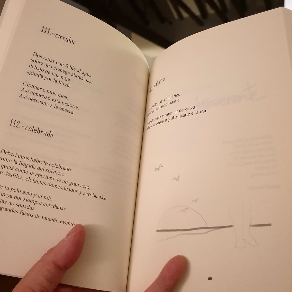 rugorator's tweet photo. #Irreverente 
Ya llegó la #AmapolaAzul a mis manos... de la mano de las chicas de 'Mujeres&amp;Compañía'.
Todo un tránsito, que en el fondo es lo que es.
#Poesia #Poetry
#PoesiaEresTu
#Tránsito #Metamorfosis
#Pi https://t.co/eUfkYE0iiz
