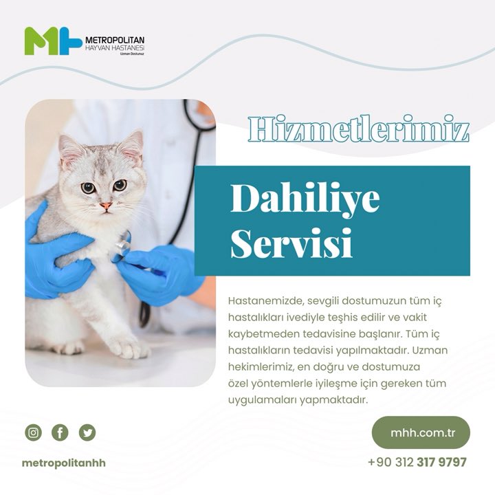 metropolitanhh's tweet photo. Hastanemizde, sevgili dostumuzun tüm iç hastalıkları ivediyle teşhis edilir ve vakit kaybetmeden tedavisine başlanır. Tüm iç hastalıkların tedavisi yapılmaktadır. Uzman hekimlerimiz, en doğru ve dostumuza özel yöntemlerle iyileşme için gereken tüm uygulamaları yapmaktadır. https://t.co/CZAUTGBies