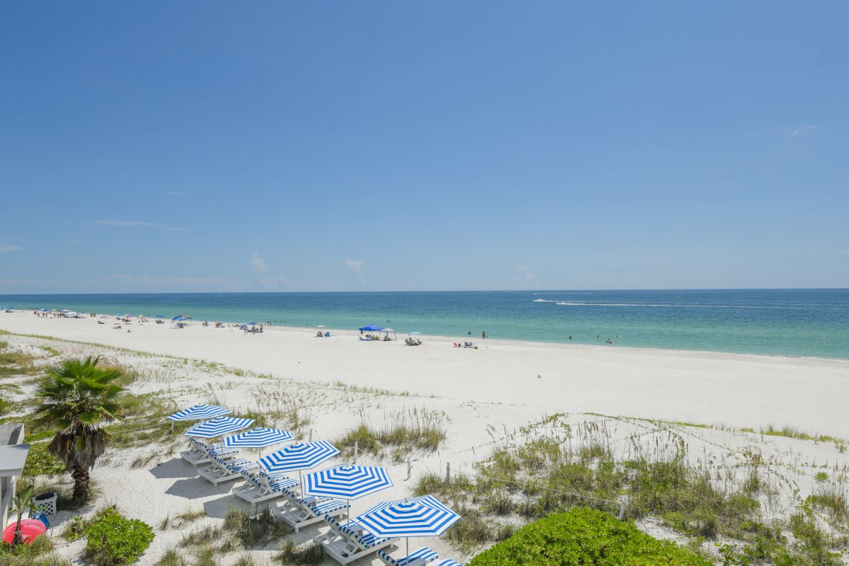 Anna Maria Vacations tweet media
