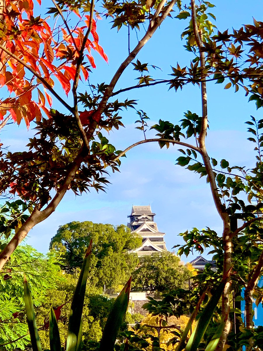 おはようございます 冷え込み続く水曜日の熊本 今日も笑顔で楽しみましょう