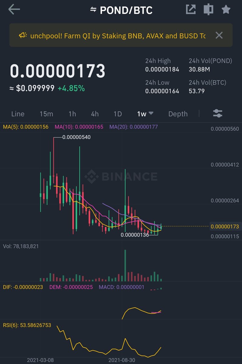 WIZZ🥷 ( beware scammers ) tweet media