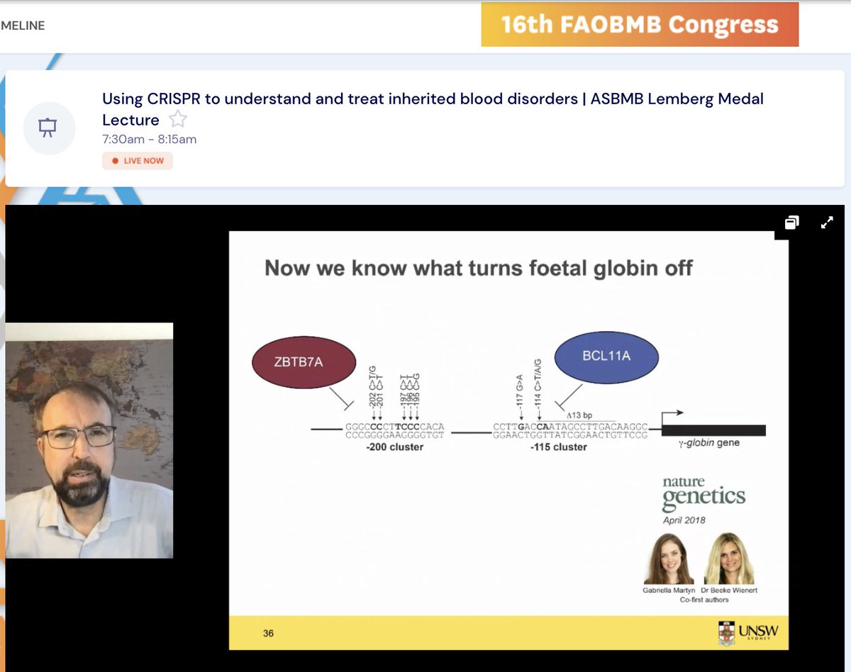 I'm loving watching @MerlinCrossley give the @ITSASBMB Lemberg Medal lecture at @faobmb2021 this morning. Congratulation on this acknowledgement of your achievements, Merlin! Turns out these musings on Merlin's career (to date) go very well with breakfast! @UNSWBABS @UNSWScience