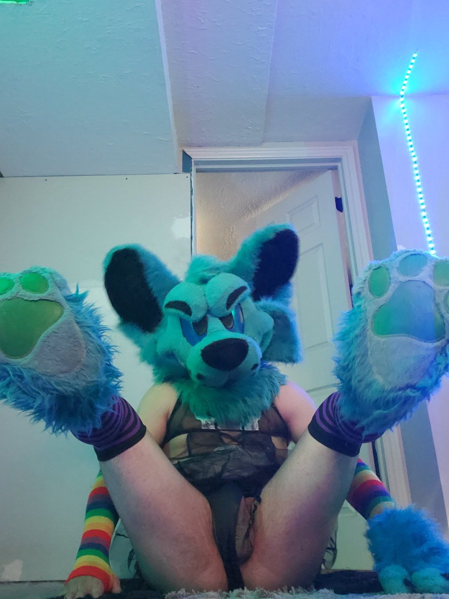 Badbluewolf1's tweet photo. Need a bone in me. https://t.co/nWyN3K4Ds3