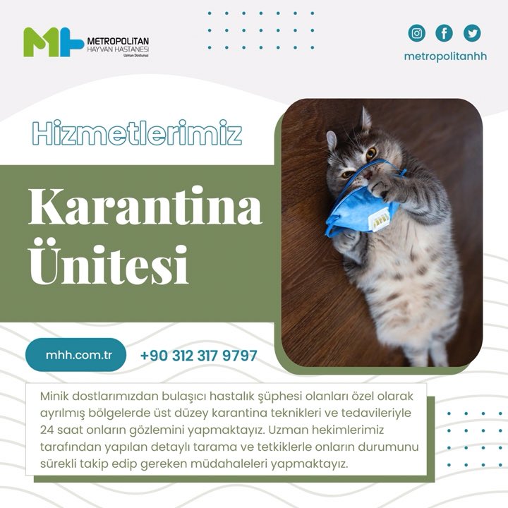 metropolitanhh's tweet photo. Minik dostlarımızdan bulaşıcı hastalık şüphesi olanları özel olarak ayrılmış bölgelerde üst düzey karantina teknikleri ve tedavileriyle 24 saat gözlemini yapmaktayız.Yapılan detaylı tarama ve tetkiklerle onların durumunu sürekli takip edip gereken müdahaleleri yapmaktayız. https://t.co/A5cxMNRADH