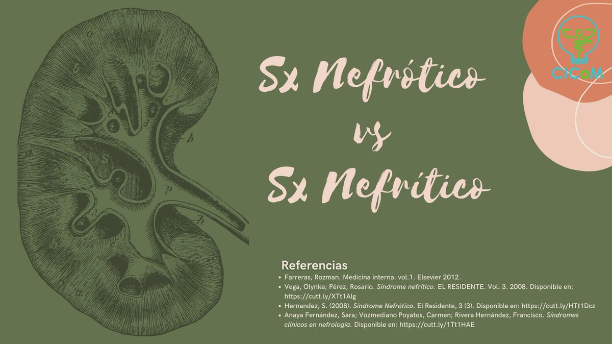 CICoMedicine's tweet photo. Síndrome Nefrótico y Síndrome Nefrítico, ¿son iguales? ¡Veamos sus diferencias! 🩺

#cicom #medschool #medicine #health #nefrology #medstudent #kidney https://t.co/oal25BJAv8