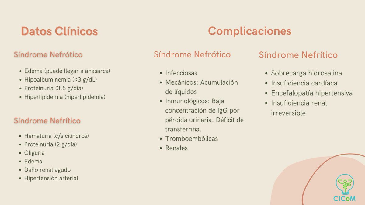 CICoMedicine's tweet photo. Síndrome Nefrótico y Síndrome Nefrítico, ¿son iguales? ¡Veamos sus diferencias! 🩺

#cicom #medschool #medicine #health #nefrology #medstudent #kidney https://t.co/oal25BJAv8