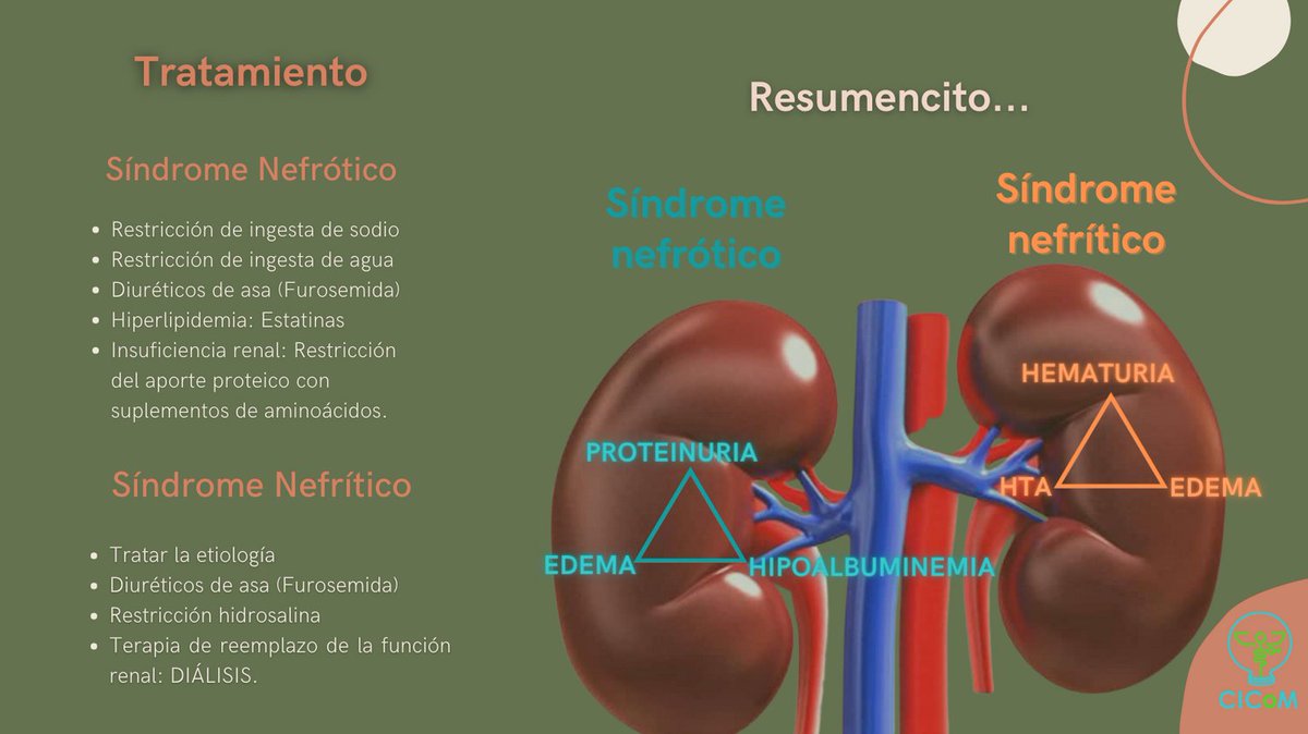 CICoMedicine's tweet photo. Síndrome Nefrótico y Síndrome Nefrítico, ¿son iguales? ¡Veamos sus diferencias! 🩺

#cicom #medschool #medicine #health #nefrology #medstudent #kidney https://t.co/oal25BJAv8