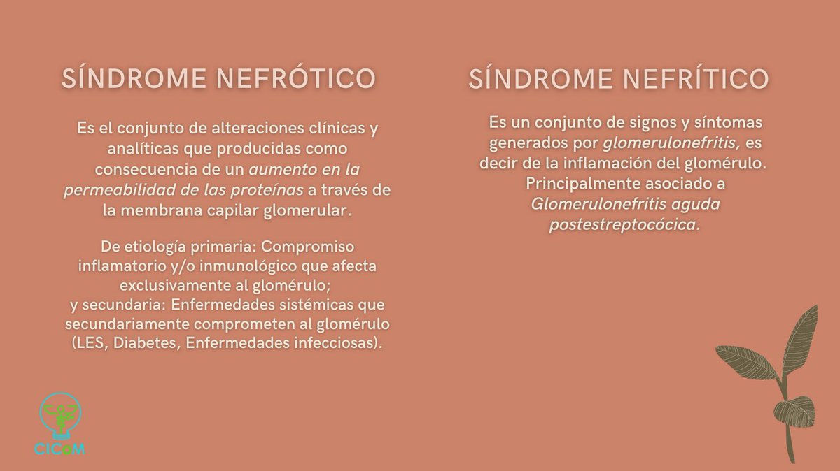 CICoMedicine's tweet photo. Síndrome Nefrótico y Síndrome Nefrítico, ¿son iguales? ¡Veamos sus diferencias! 🩺

#cicom #medschool #medicine #health #nefrology #medstudent #kidney https://t.co/oal25BJAv8