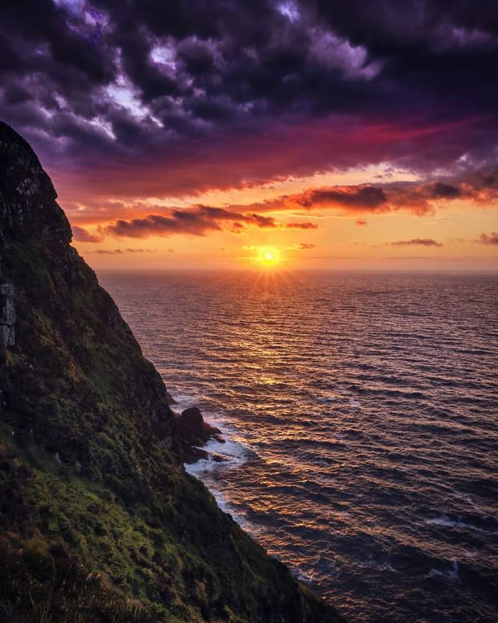 Eva Ní Shúilleabháin tweet media