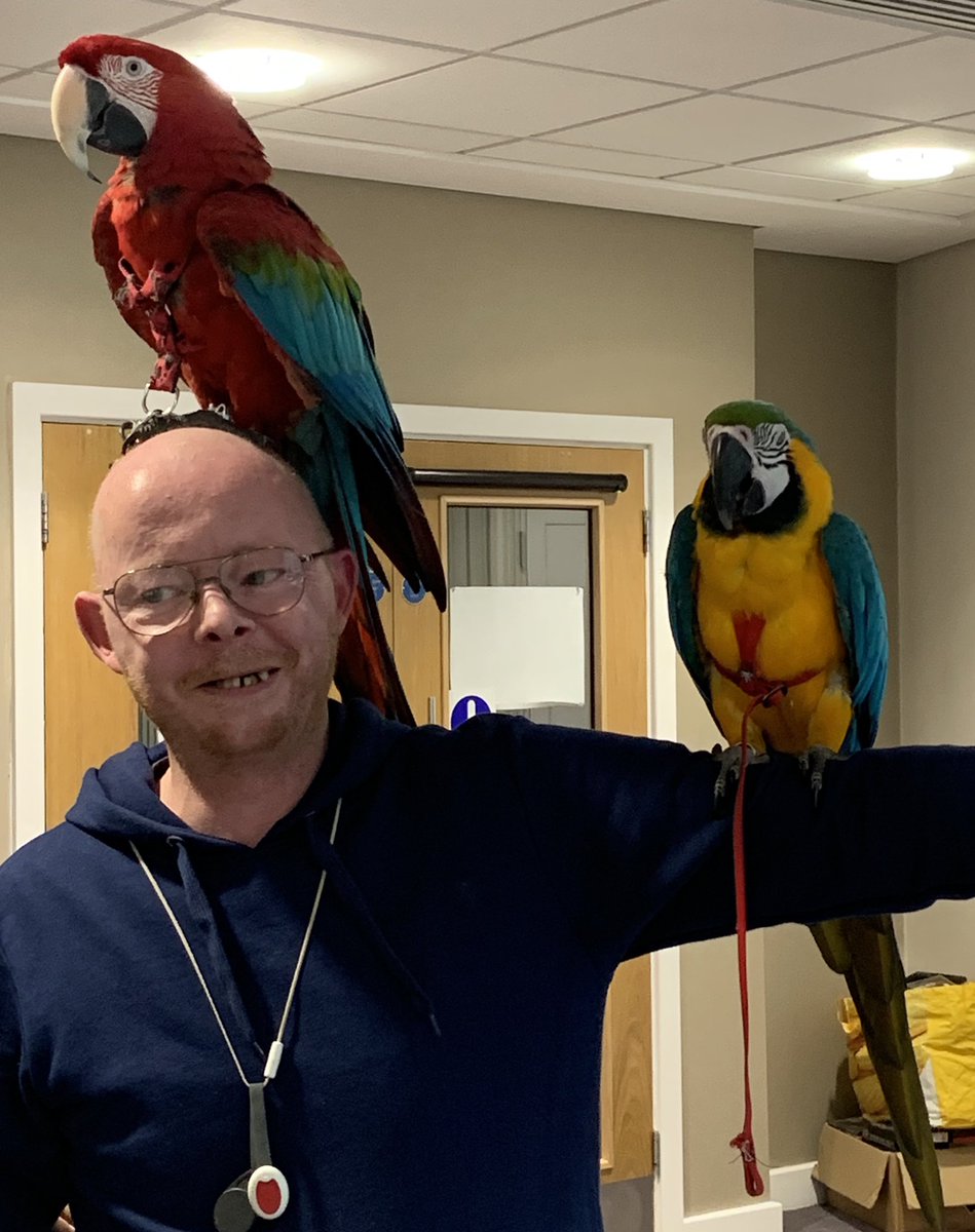 ShellyRiv1's tweet photo. Who’s a pretty parrot 🦜 When this is part of your normal working day at Harrison Park ♥️Thank you Tony, Inca and Zeus, see you soon #hullextracare @RuthLeadsRd @pozCG @Riv_SarahCoward @chuchi3651 @AlanMarples @RiversideCarol @nicholson_sally @ClaireRoute @ConnecttoHull https://t.co/A1I2O6t4YD