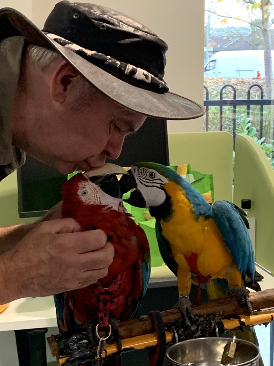 ShellyRiv1's tweet photo. Who’s a pretty parrot 🦜 When this is part of your normal working day at Harrison Park ♥️Thank you Tony, Inca and Zeus, see you soon #hullextracare @RuthLeadsRd @pozCG @Riv_SarahCoward @chuchi3651 @AlanMarples @RiversideCarol @nicholson_sally @ClaireRoute @ConnecttoHull https://t.co/A1I2O6t4YD