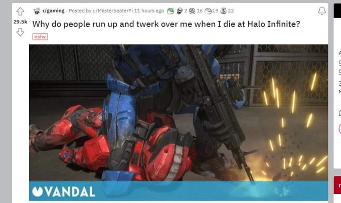 A whole new generation needs to learn about Halo tea bagging