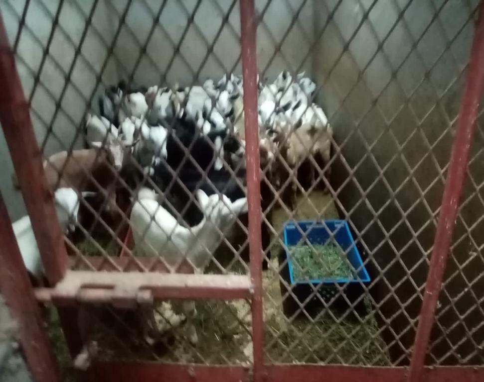 يوم مشرق tweet media