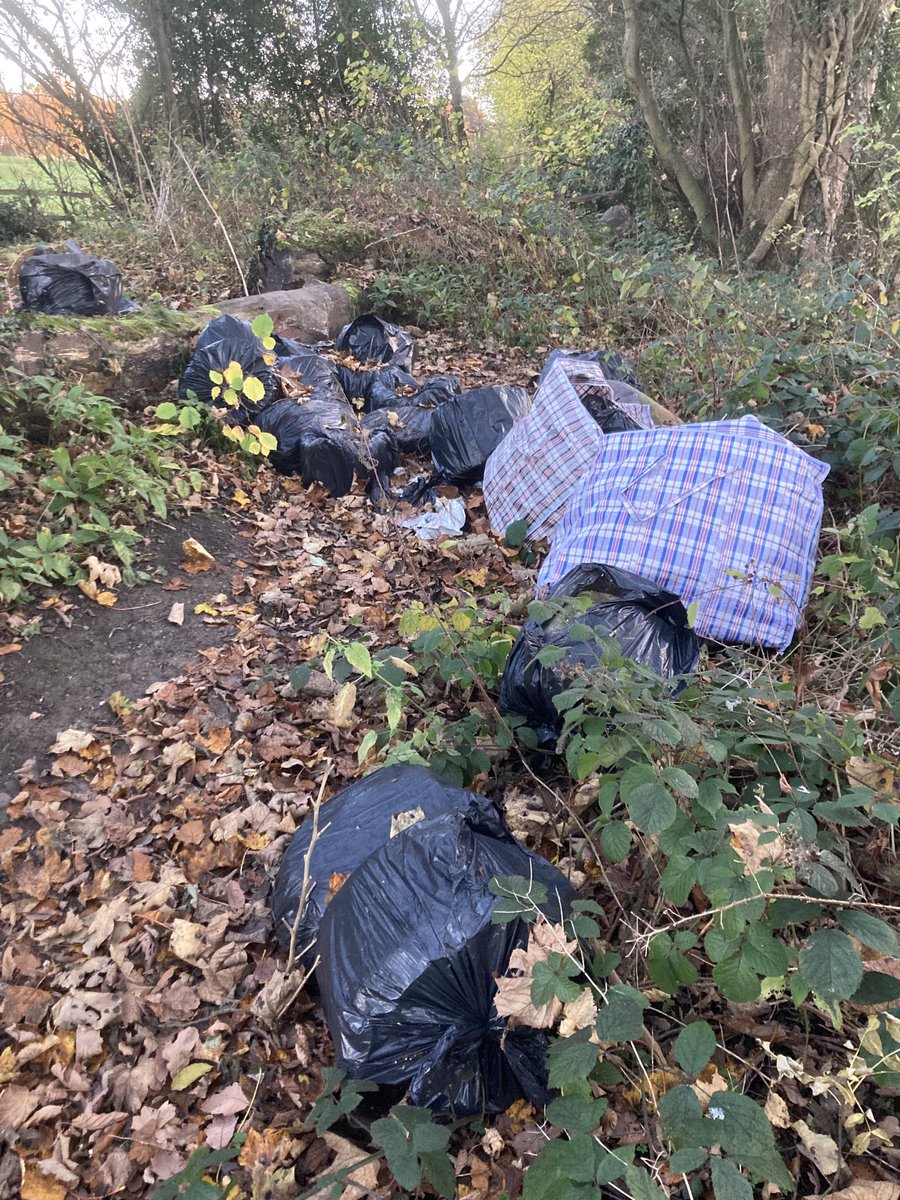 People of ⁦<a href="/Barnsley/">barnsley</a> Why? We’ve got enough public tips to use. Shameful. #lazy  #ignorant #dontcare. Woods near ⁦<a href="/silkstonegc/">Silkstone Golf Club</a>⁩
