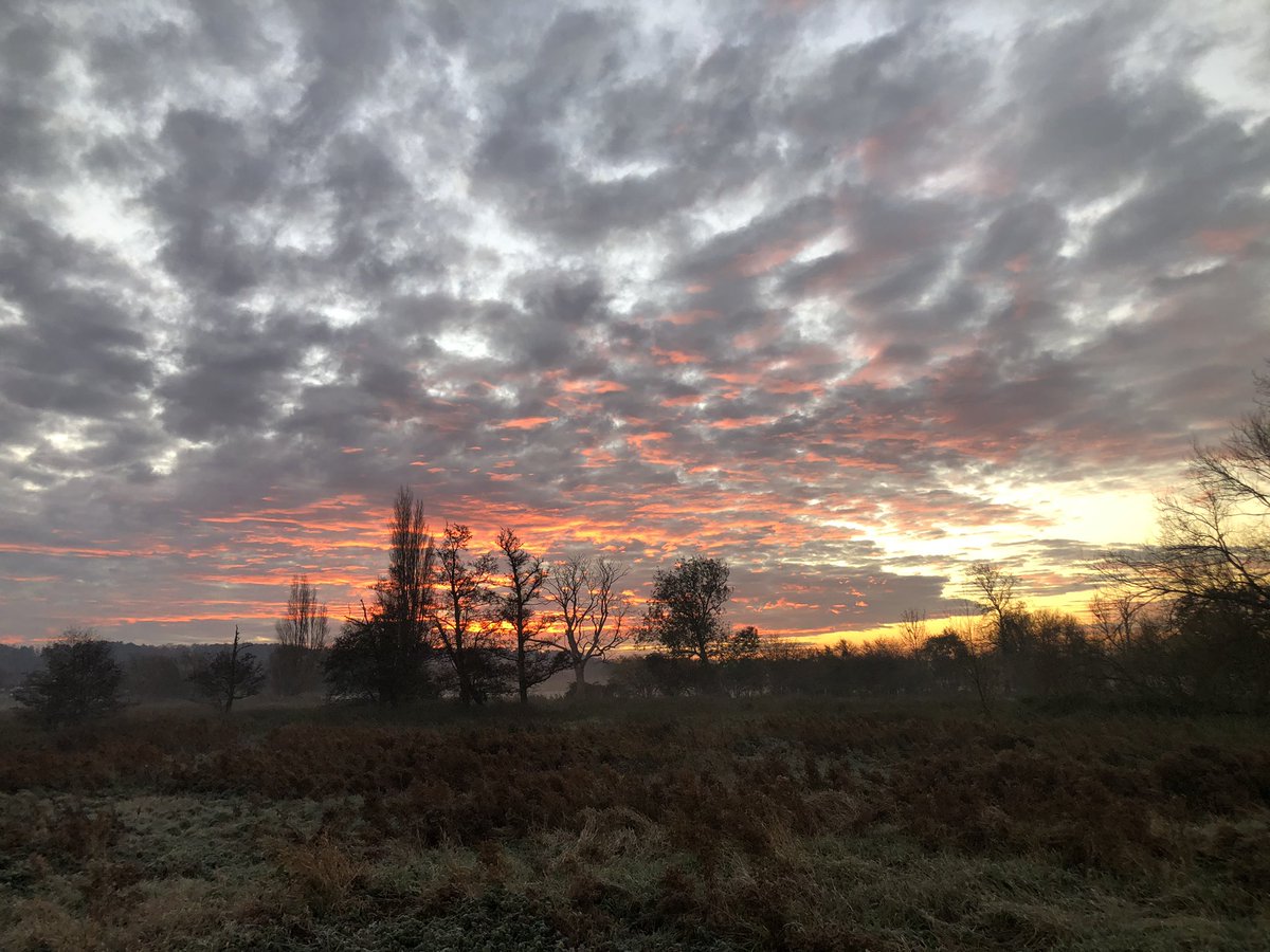 Beautiful morning sunrise today