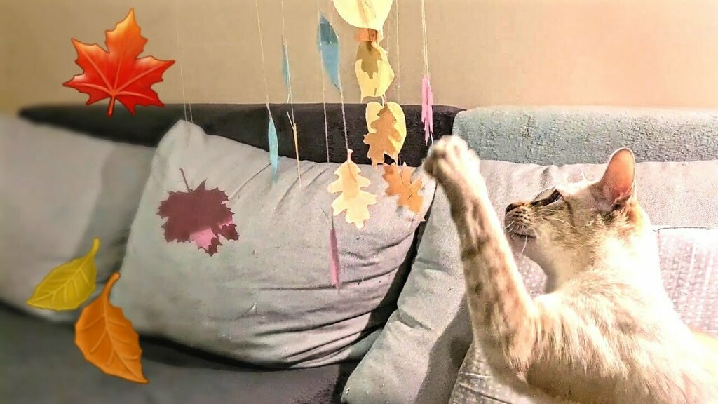 kittyxinfinity's tweet photo. 🐱 via https://t.co/4uNFrWTMpP https://t.co/Byi2gdXUo2