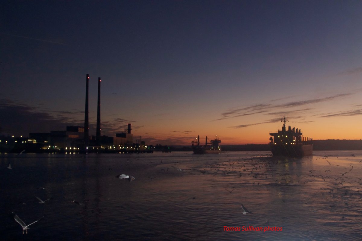 tomassullivan's tweet photo. Early morning Waterford Harbour 23-11-21 https://t.co/HbFYKfSHVz