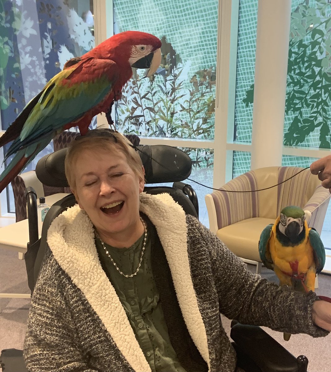 ShellyRiv1's tweet photo. More parrot pics from Harrison Park today. Lovely and enjoyed by all who came along to join in the fun 🦜🥰 #hullextracare @RuthLeadsRd @pozCG @Riv_SarahCoward @chuchi3651 @AlanMarples @RiversideCarol @nicholson_sally @ClaireRoute @ConnecttoHull https://t.co/PAPibEY1mB