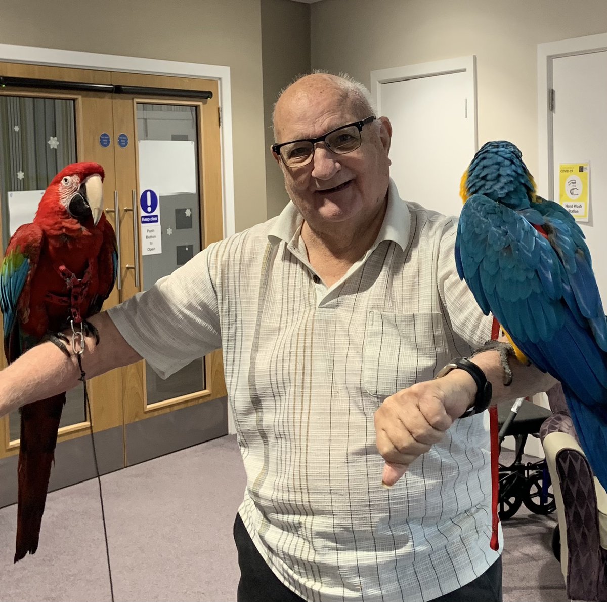 ShellyRiv1's tweet photo. More parrot pics from Harrison Park today. Lovely and enjoyed by all who came along to join in the fun 🦜🥰 #hullextracare @RuthLeadsRd @pozCG @Riv_SarahCoward @chuchi3651 @AlanMarples @RiversideCarol @nicholson_sally @ClaireRoute @ConnecttoHull https://t.co/PAPibEY1mB