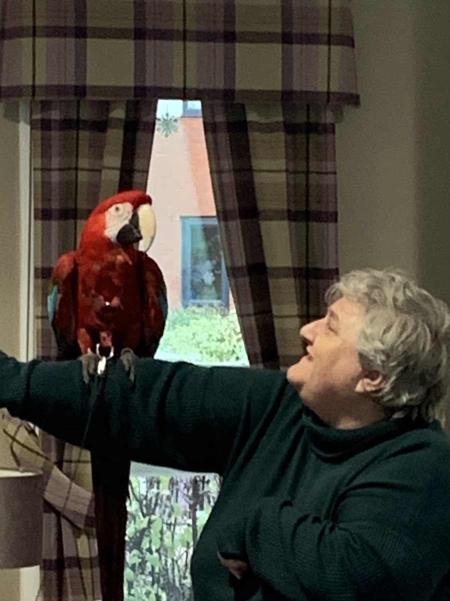 ShellyRiv1's tweet photo. More parrot pics from Harrison Park today. Lovely and enjoyed by all who came along to join in the fun 🦜🥰 #hullextracare @RuthLeadsRd @pozCG @Riv_SarahCoward @chuchi3651 @AlanMarples @RiversideCarol @nicholson_sally @ClaireRoute @ConnecttoHull https://t.co/PAPibEY1mB