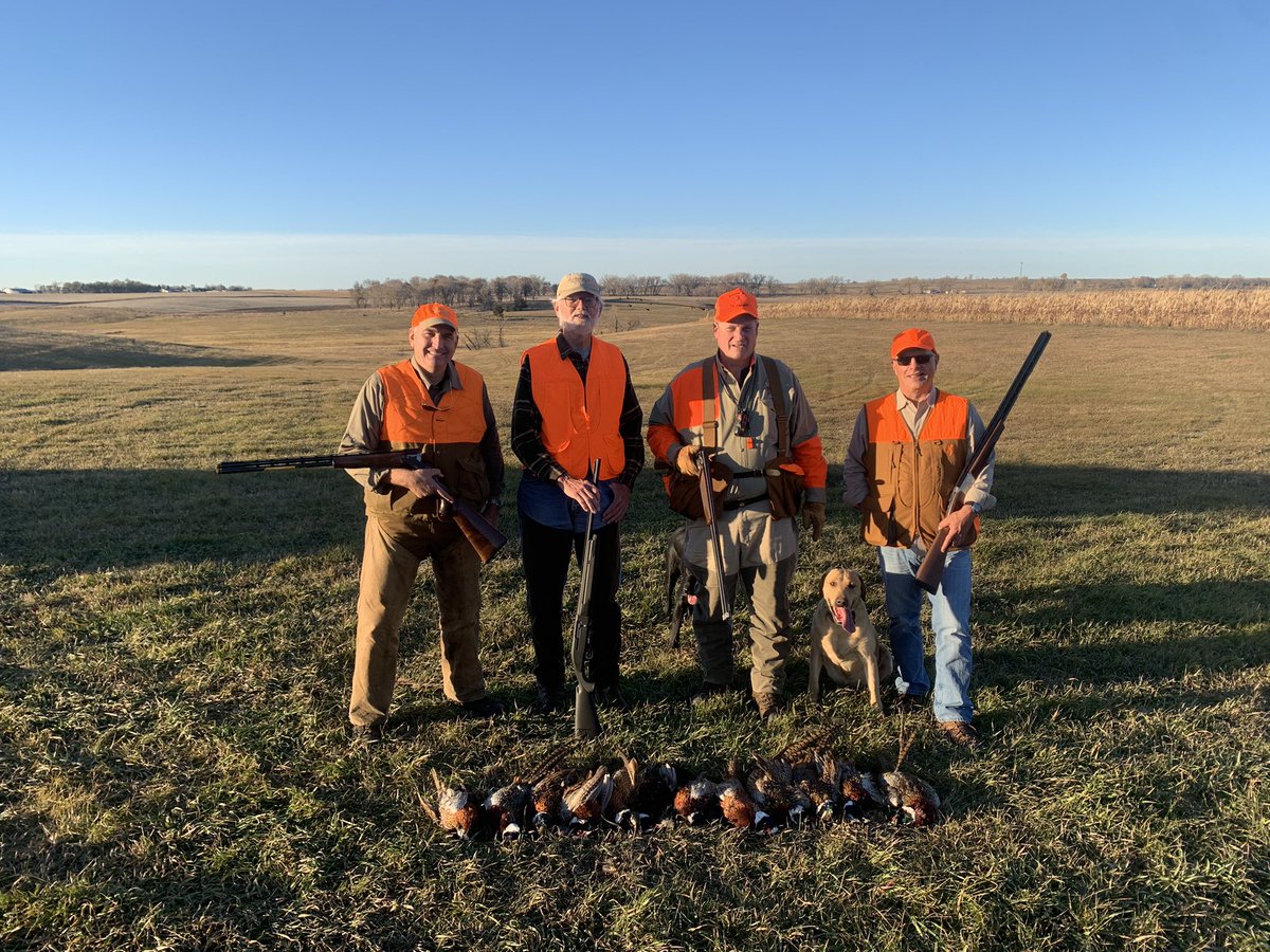 IowaTom's tweet photo. @FiocchiAmmo We got birdy in a hurry this SD pheasant season. Shout out to @FiocchiAmmo for their Golden Pheasant 20ga 2-3/4 shells. Helped me secure a solid one-shot hit on a fast L-R flyer at 50yds and rising. https://t.co/bOqccsaGz2