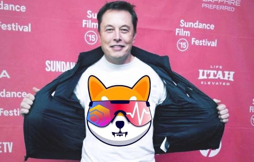 shibahexpulse's tweet photo. It's official !
@elonmusk wants #SEXPLS
He must have heard about us dropping the Alpha Website and the incoming CoinGecko listing. https://t.co/T5eywBiDyS