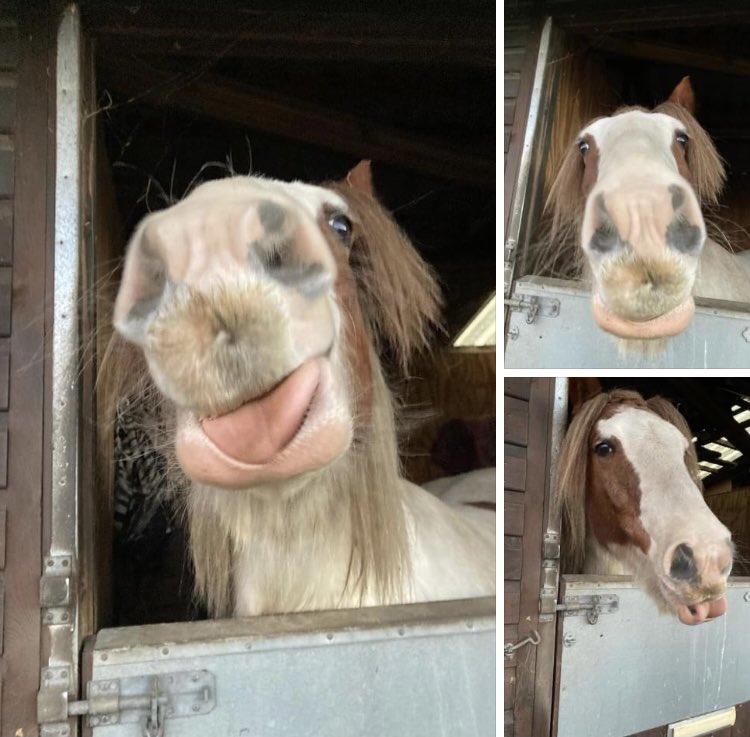 PressFresh's tweet image. This face 🙈😂