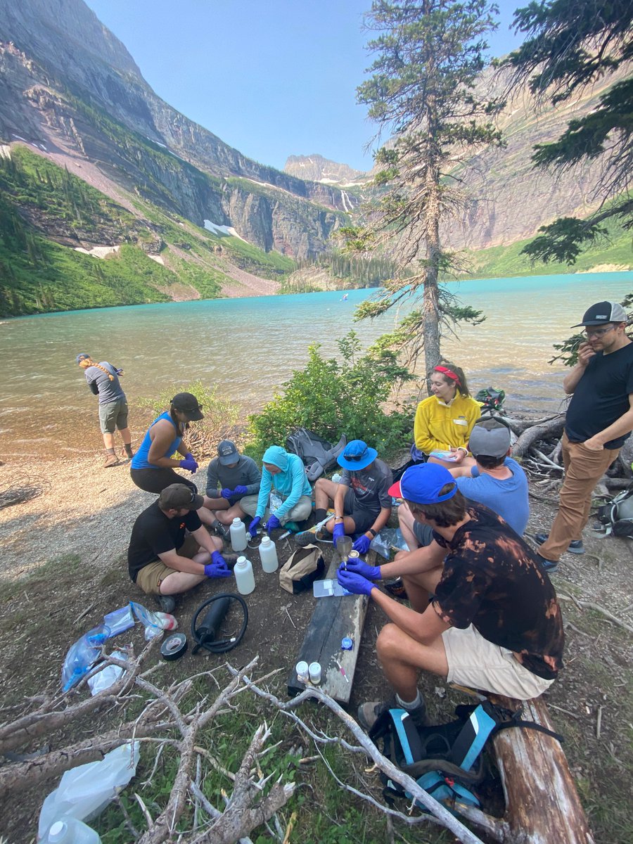 DrLimnology's tweet image. Come work with us &amp;amp; help the magic happen!  We are searching for someone to help run our summer session &amp;amp; internship program.  Please RT! @FLBSUM @umontana @OBFSFieldBio 
Program Manager, Flathead Lake Biological Station university-montana-hr.silkroad.com/epostings/inde…